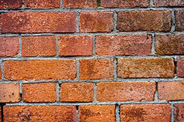 Fototapeta premium レンガ