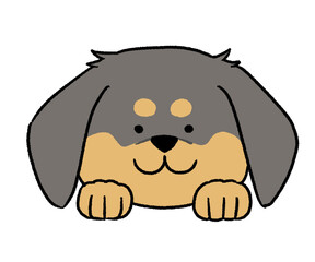 黒いのダックスの顔