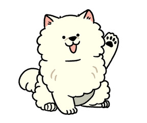 片手を挙げている白いポメラニアン