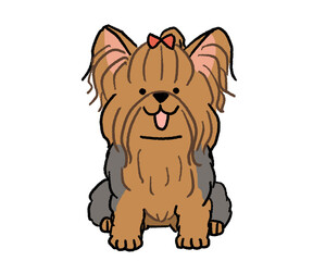 おすわりしているヨークシャーテリア