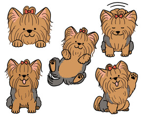 ヨークシャーテリアのセット