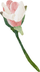 Fototapeta premium watercolor blooming rose branch flower bouquet elements