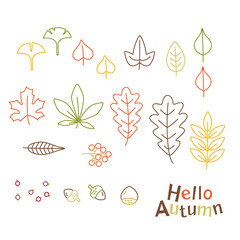 Autumn plant illustration set