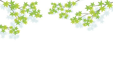 Background frame illustration with green maple branches 