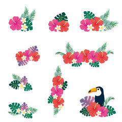 Tropical floral elements illustration set © KY