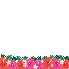 Hibiscus flowers background frame illustration