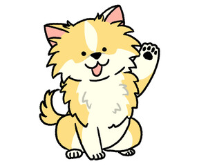 片手挙げるクリーム色のチワワ