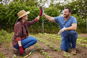 Teamwork, agriculture and collaboration high five farmer couple planting organic crops while...