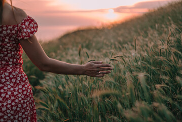 female hands touch spikes of tall grass in the mountains at sunset