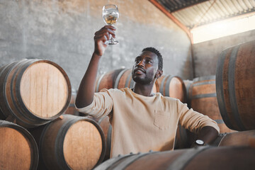 Wine expert or entrepreneur with glass during tasting test in a cellar or distillery in a warehouse. Black agriculture worker in alcohol production storage or wooden barrel in a manufacturing winery - obrazy, fototapety, plakaty