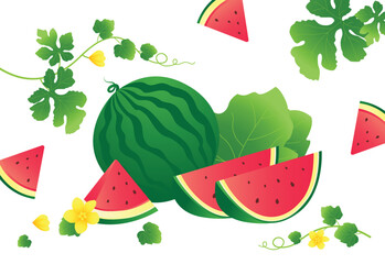 Watermelon illustration for background design