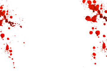  bloody splatter. Spots of blood.Halloween frame.Red blood splatter and drops isolated On white...