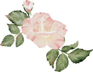 watercolor blooming rose branch flower bouquet