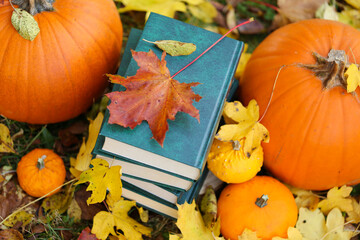 autum Books.Back to school.Halloween Books.Study and education concept. stack of books,maple leaves and pumpkins in autumn garden.Autumn cozy reading. school and college season