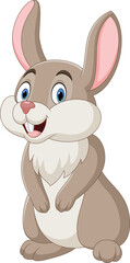 Cartoon funny rabbit on white background