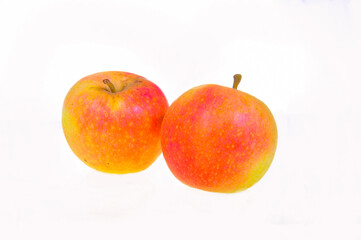 Apples on a white background