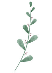 PNG. Green watercolor leaf.