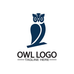 Owl logo vector template