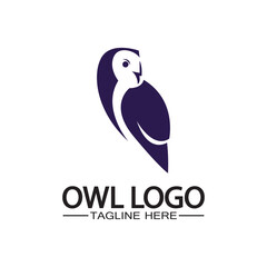 Owl logo vector template