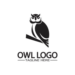 Owl logo vector template