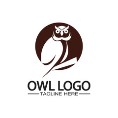 Obraz premium Owl logo vector template