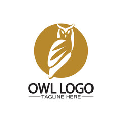Obraz premium Owl logo vector template
