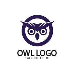 Owl logo vector template