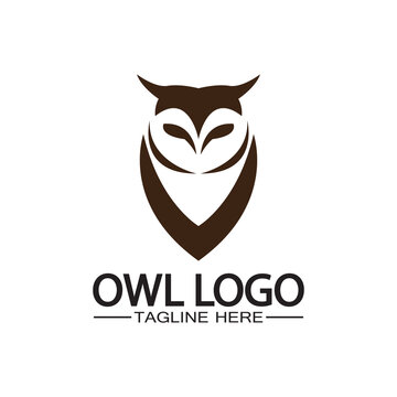 Owl logo vector template