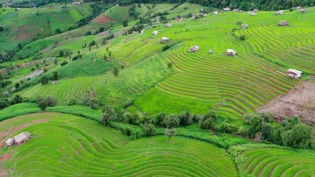 rice field at Mae Cham Chiangmai Northern Thailand