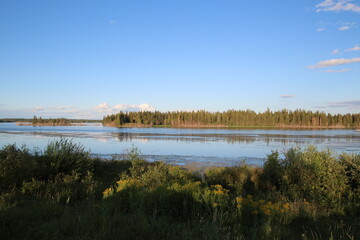reflection of trees in water