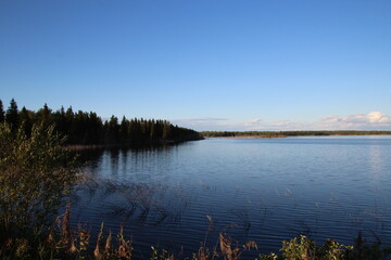 reflection of trees in water, Elk Island National Park, Alberta