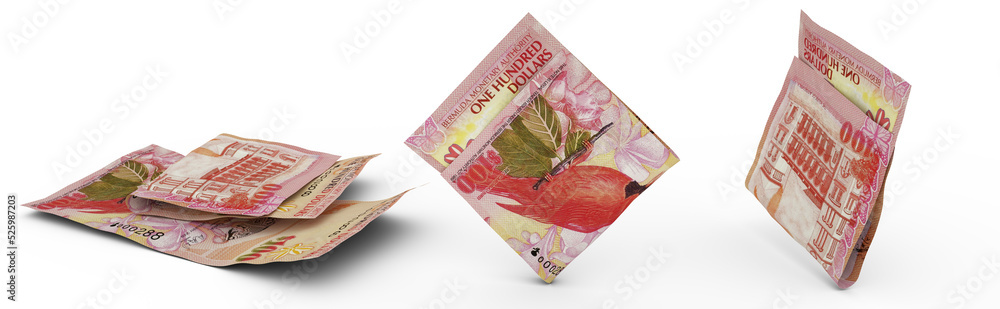 Poster set of bermudian dollar note isolated on white background. 3d rendering