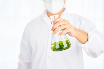 Asian scientist with science research biology with seaweed or kelp in the laboratory on white background                                                         