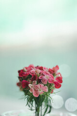 bouquet of pink and red flowers in a plastic vase