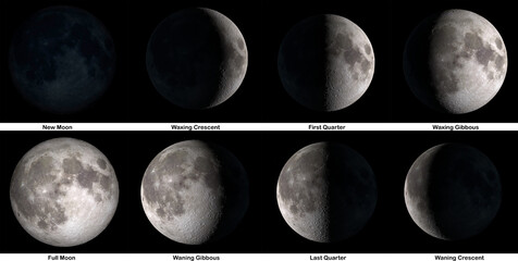 The phases of The Moon. Elements of this image were furnished by NASA. - obrazy, fototapety, plakaty