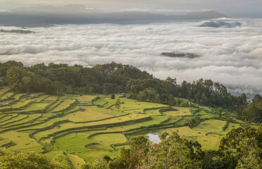 Java, Indonesia, June 13, 2022 - Terraced roce fields as seen from a road above.