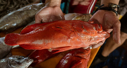 Java, Indonesia, June 13, 2022 - Large red fish being held by vendor in fish market.