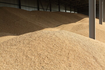 Flat type grain silo filled with weed seeds, covered structure to protect against rain, crop harvest season © Pretti