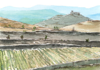 Spanish landscape with vineyard. Watercolor on paper.