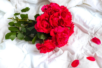 Colorful flower bouquet from red roses isolated on white background. Closeup.