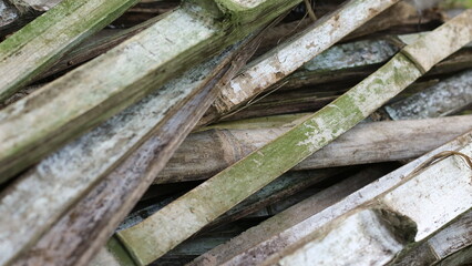 A pile of unused bamboo due to age