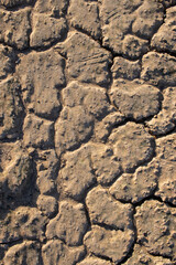 Dry cracked earth, soil, sand texture abstract background. Global warming, climate change, ecological concept. Summer heat