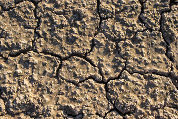 Dry cracked earth, soil, sand texture abstract background. Global warming, climate change, ecological concept. Summer heat