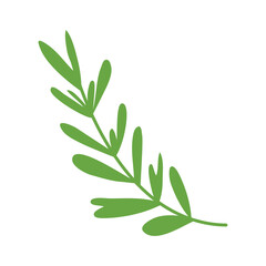 Obraz premium branch with leafs