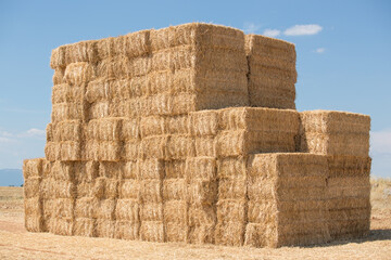 Bale of straw agriculture fields, Valensole,Provence,PACA Region,South,France,Europe