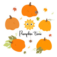 Collection of fall orange pumpkins, cute sun, spider insects and autumn leaves. Vector illustration with autumn harvest Pumpkin time. Isolated vegetables for print, design, postcards, decor, booklets.