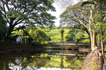 Fototapeta na wymiar Quiet and peaceful La Mesa ECP park at Quezon city, Philippines