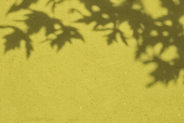 Shadow of leaves on yellow concrete wall texture with roughness and irregularities. Abstract trendy colored nature concept background. Copy space for text overlay, poster mockup flat lay 