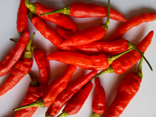 hot chili on a white background