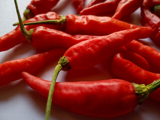 hot chili on a white background